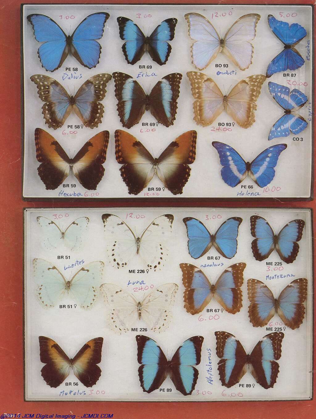 The Butterfly Company (NY) 20 page catalog 1978